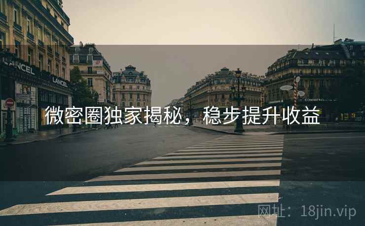 微密圈独家揭秘，稳步提升收益