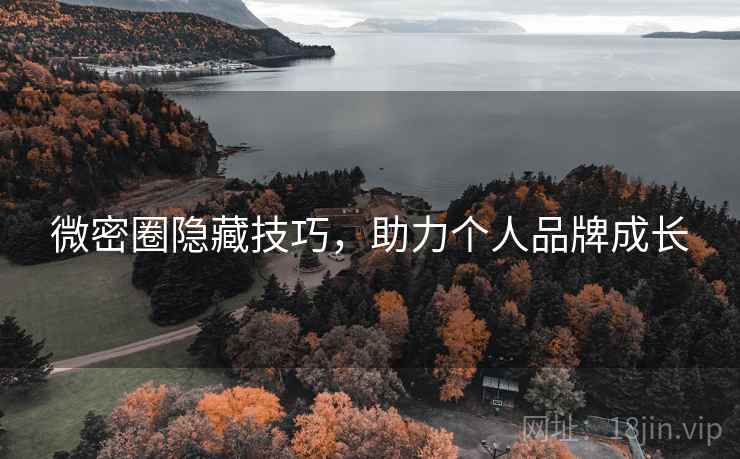 微密圈隐藏技巧，助力个人品牌成长