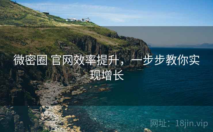 微密圈 官网效率提升,一步步教你实现增长