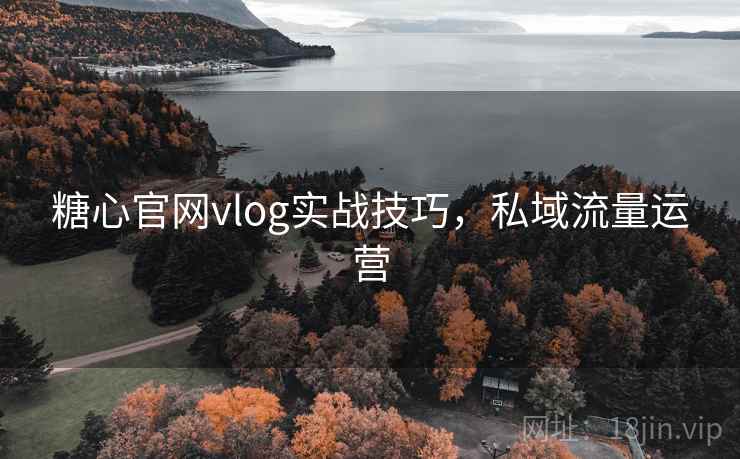 糖心官网vlog实战技巧，私域流量运营