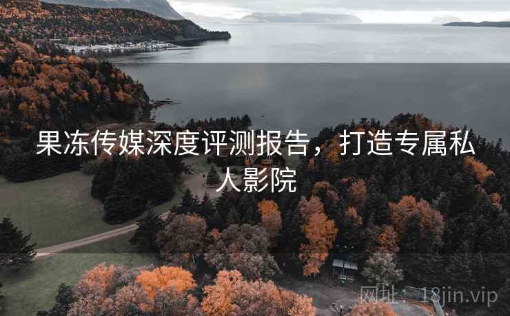 果冻传媒深度评测报告，打造专属私人影院